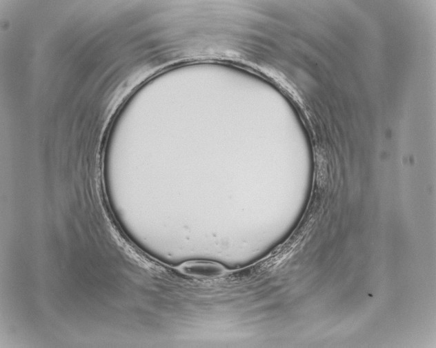 X0000070380895200607072151