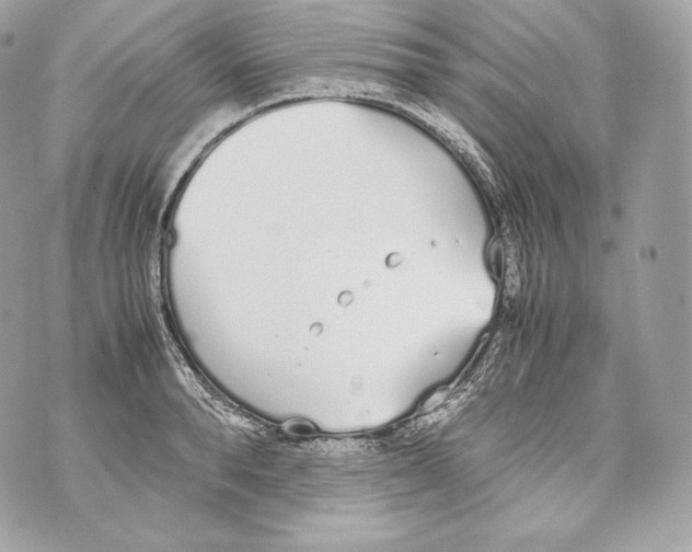 X0000070380896200607072151