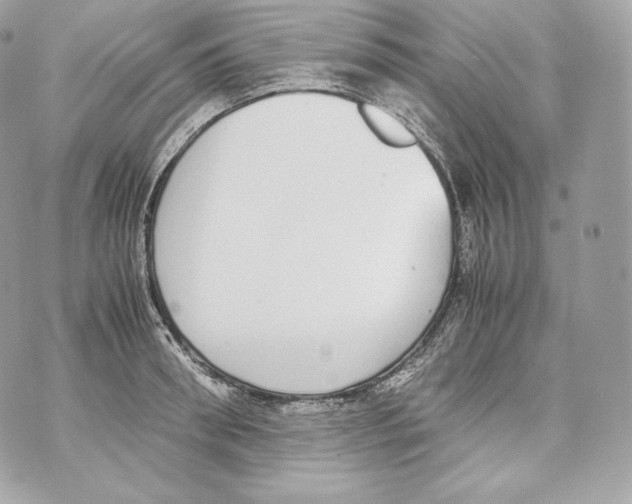 X0000070380898200607072151