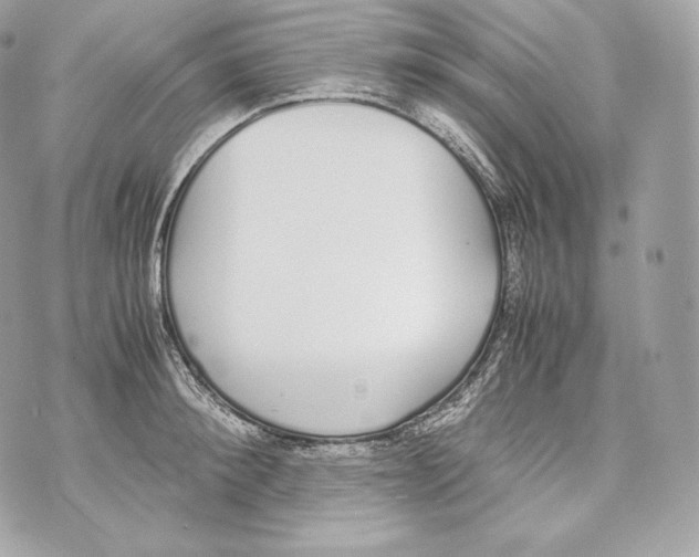 X0000070380900200607072151