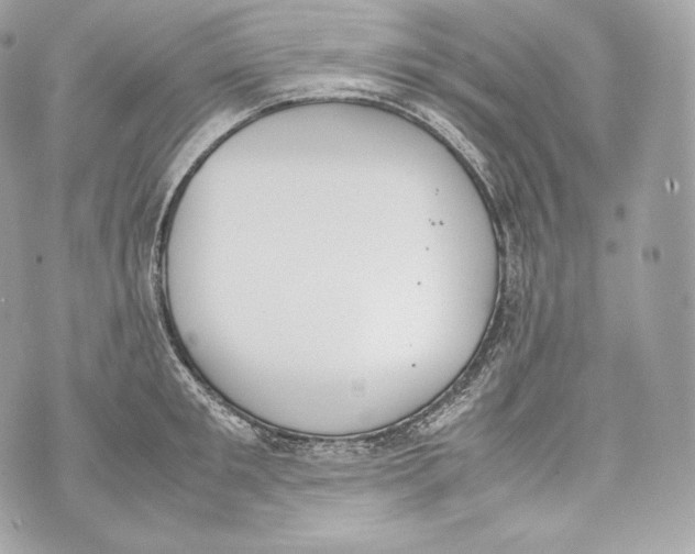 X0000070380901200607072151