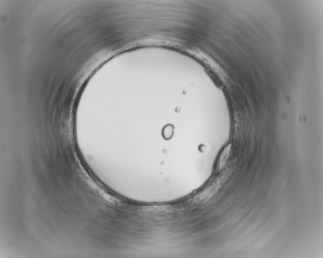 X0000070380902200607072151