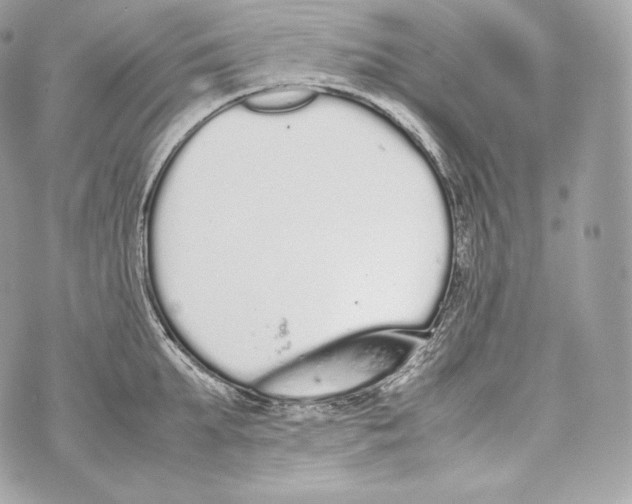 X0000070380903200607072151