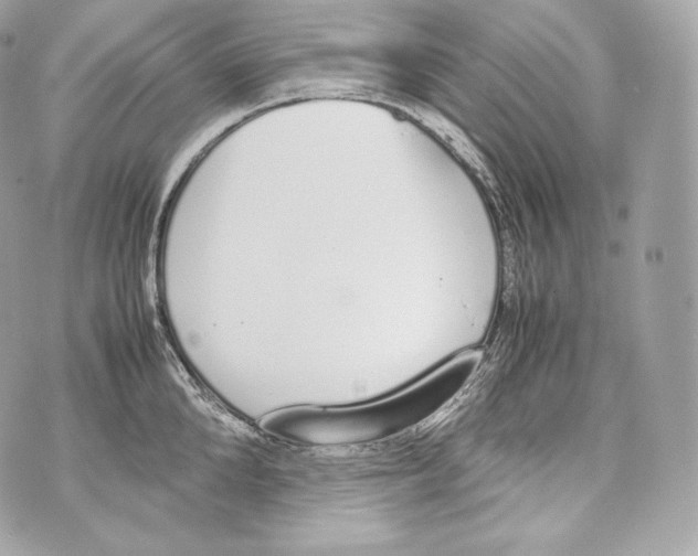 X0000070380904200607072151