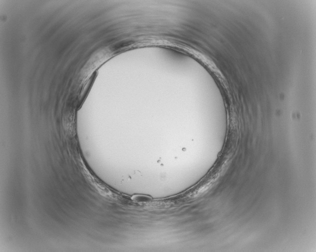 X0000070380905200607072151