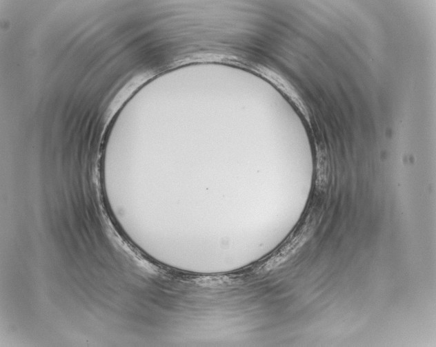 X0000070380906200607072151