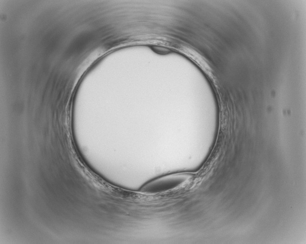 X0000070380907200607072151