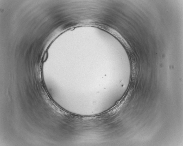 X0000070380908200607072151