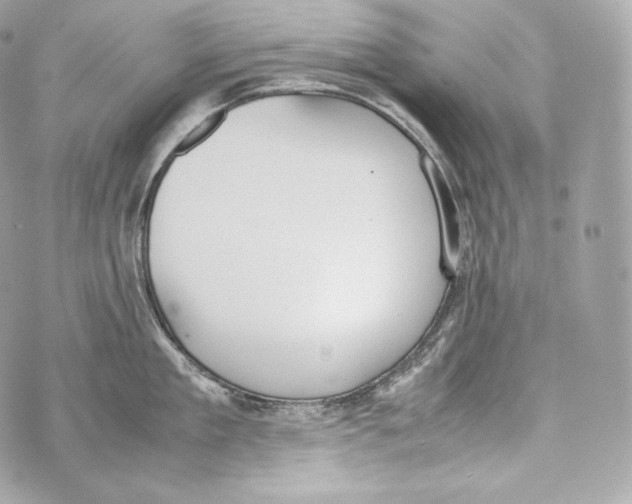 X0000070380909200607072151