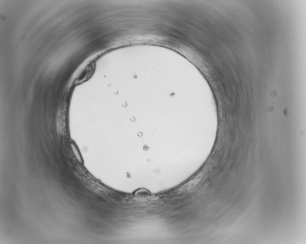 X0000070380912200607072151