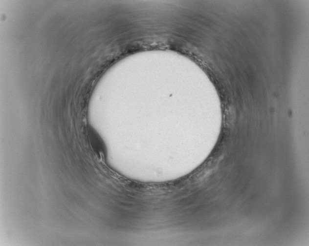 X0000070380913200607072150