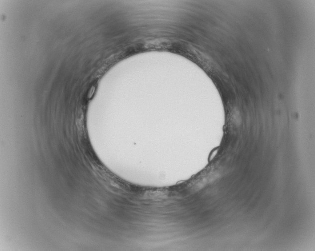 X0000070380914200607072150