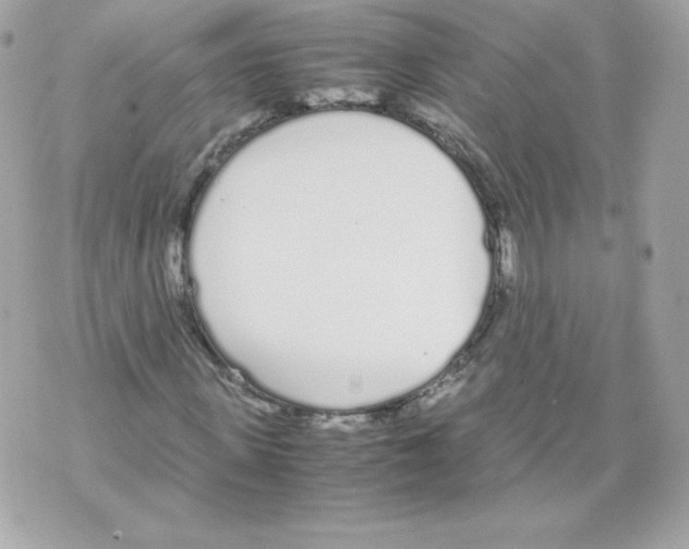 X0000070380915200607072150