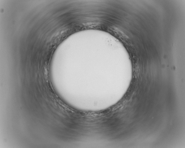 X0000070380917200607072150