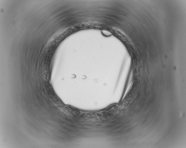 X0000070380919200607072150