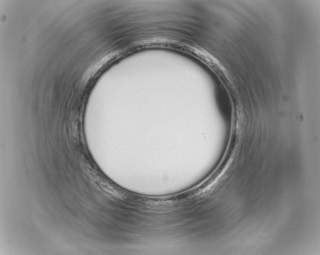 X0000070380921200607072150