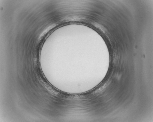 X0000070380922200607072150