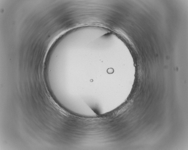 X0000070380924200607072150