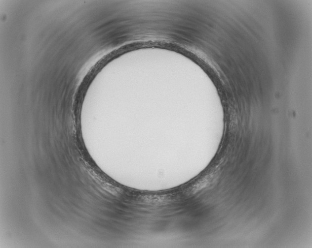 X0000070380927200607072150