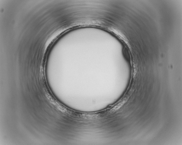 X0000070380928200607072150