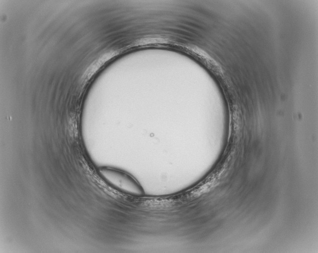 X0000070380929200607072150