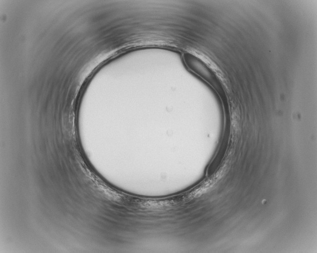 X0000070380933200607072150