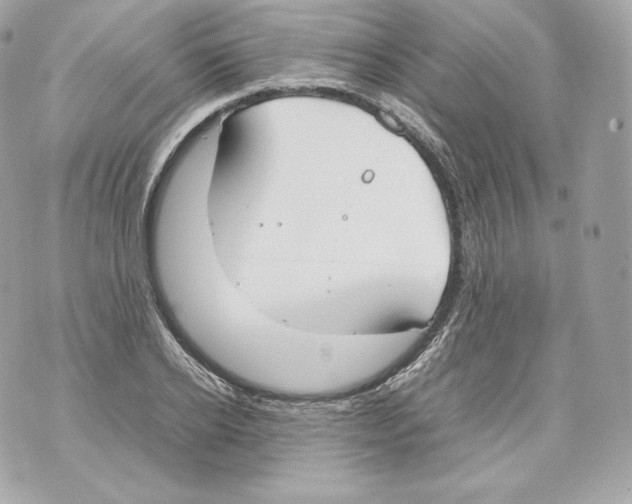 X0000070380934200607072150