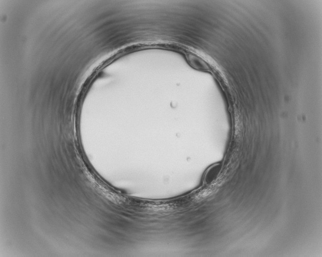 X0000070380935200607072150