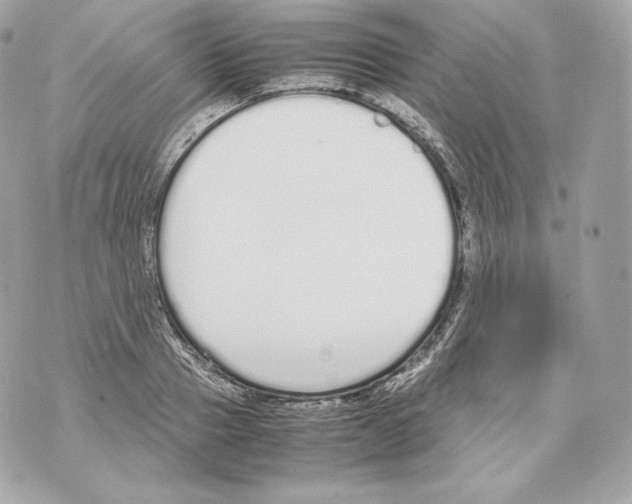 X0000070380937200607072150