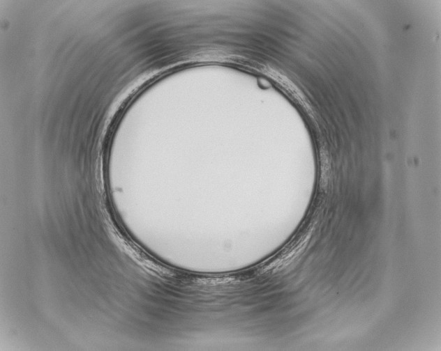 X0000070380939200607072150