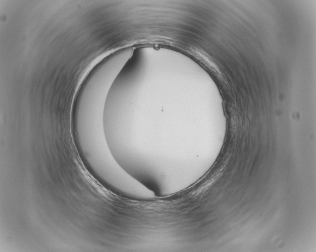 X0000070380940200607072150