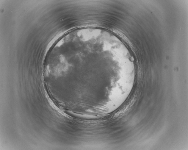 X0000070380941200607072150