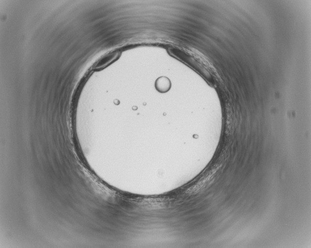 X0000070380942200607072150