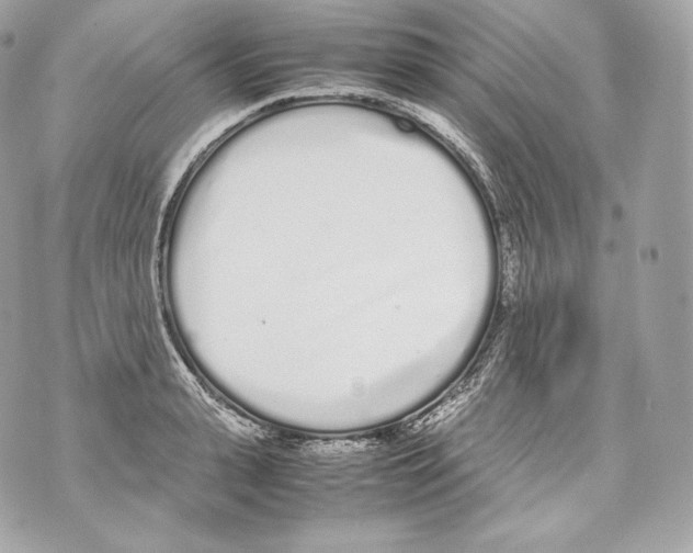 X0000070380943200607072150