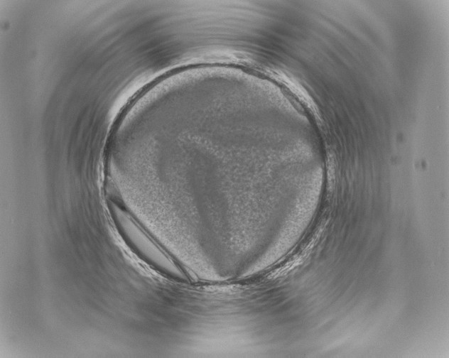 X0000070380944200607072150