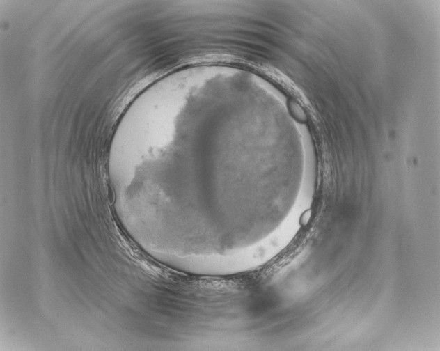 X0000070380945200607072150