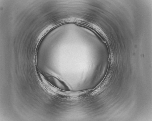 X0000070380946200607072150