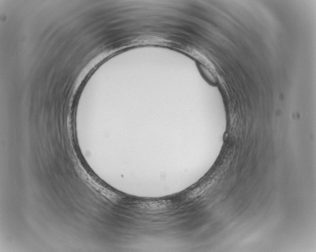 X0000070380947200607072150