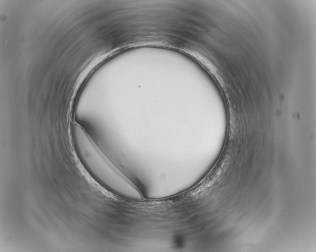 X0000070380949200607072150