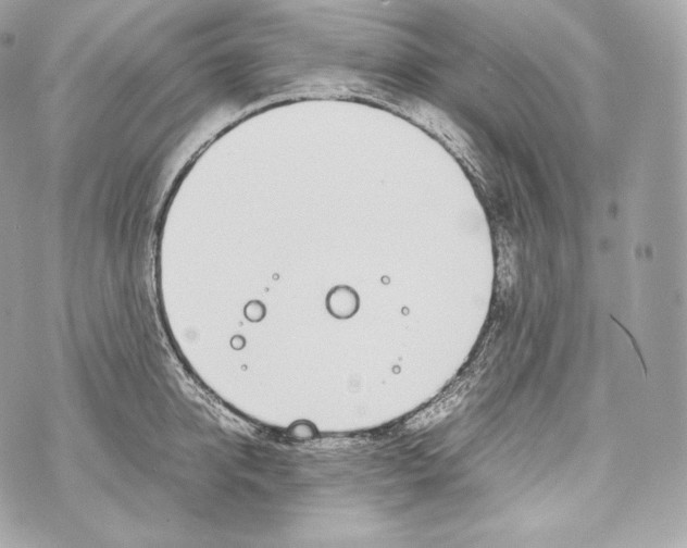 X0000070380950200607072150