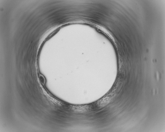 X0000070380951200607072150