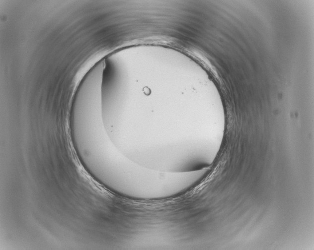 X0000070380952200607072150