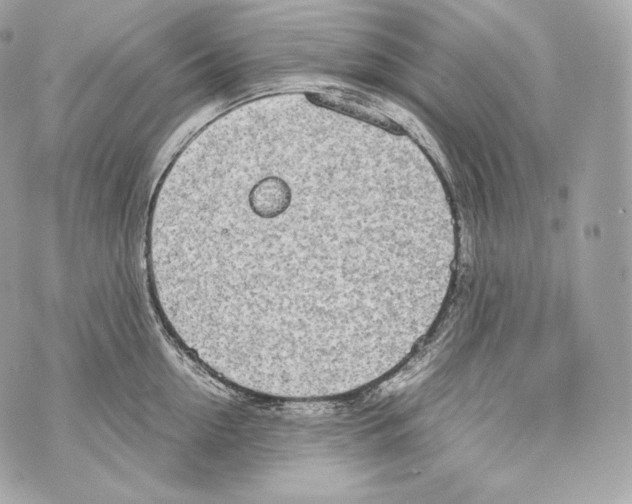 X0000070380954200607072151