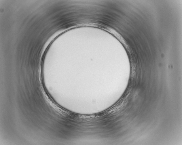 X0000070380955200607072151