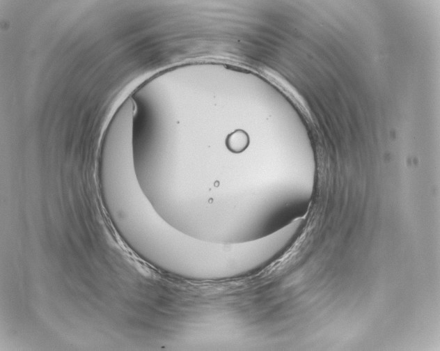 X0000070380956200607072151