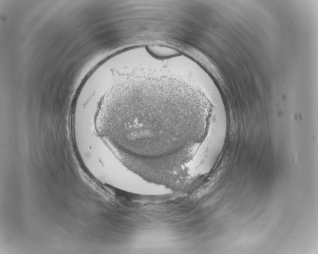 X0000070380958200607072151