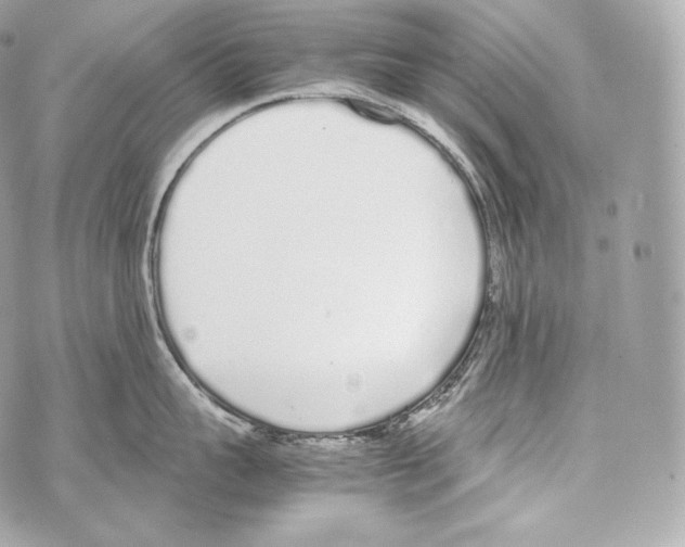 X0000070380959200607072151