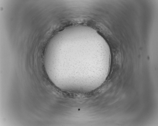 X0000070380961200607072150