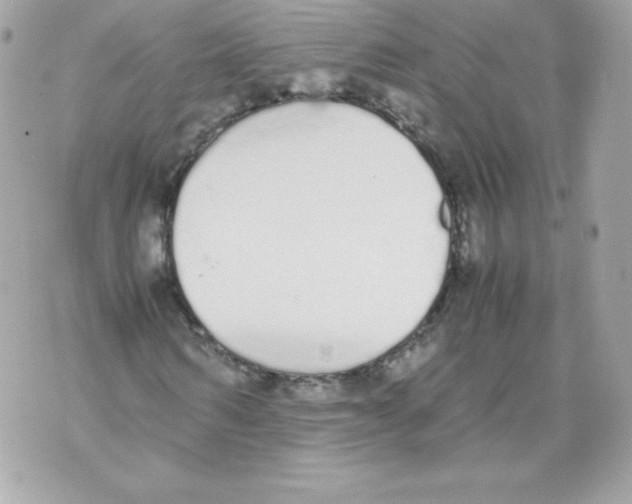 X0000070380962200607072150