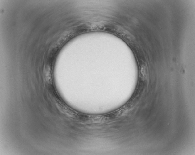 X0000070380963200607072150